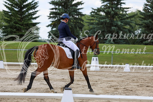 2025 - Dressage Festival - Saturday July 5th - 10489