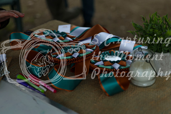 2025 - Shea - Teesdale - Saturday July 26th - 12834