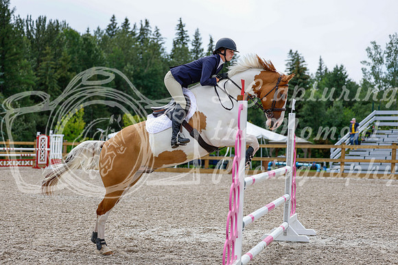 2025 - Haylee - Picco Horse Show - Friay July 25th 03618