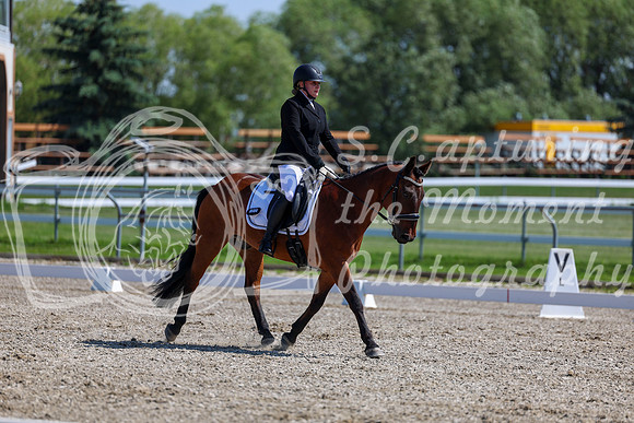 2025 - Dressage Festival - Saturday July 5th - 05157
