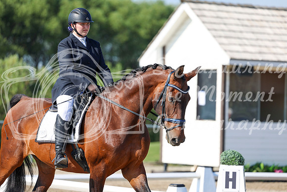 2025 - Dressage Festival - Saturday July 5th - 00963