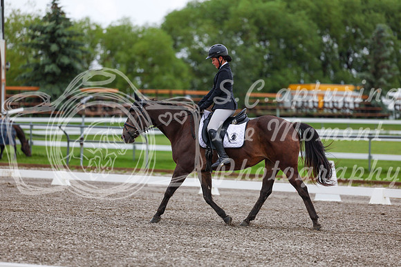 2025 - Dressage Festival - Sunday July 6th - 01686