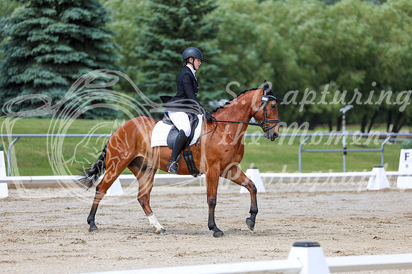 2025 - Dressage Festival - Saturday July 5th - 07372