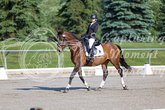 2025 - Dressage Festival - Saturday July 5th - 00423
