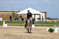 2025 - Dressage Festival - Saturday July 5th - 08923