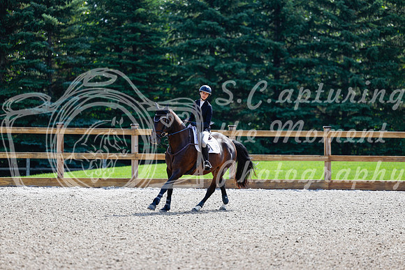 2025 - Haylee - Picco Horse Show - Sunday July 27th 02401