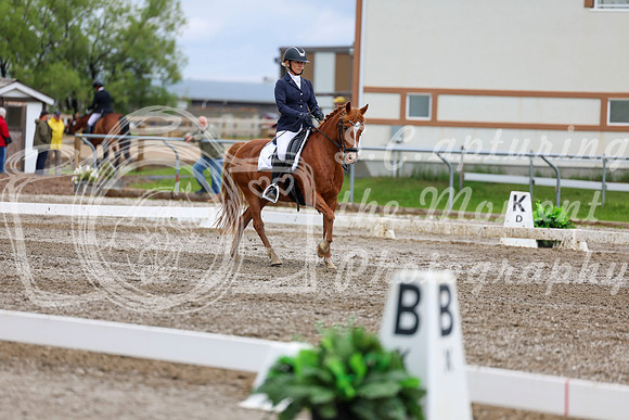 2025 - Dressage Festival - Sunday July 6th - 12200