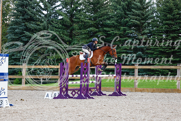 2025 - Haylee - Picco Horse Show - Sunday July 27th 04884