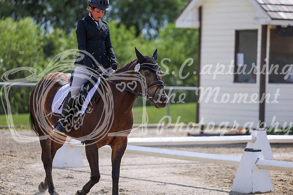 2025 - Dressage Festival - Saturday July 5th - 15433