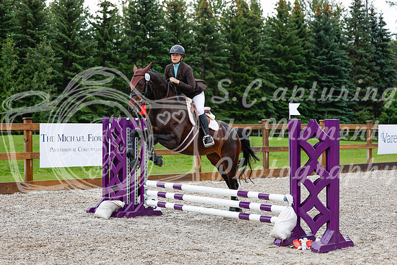 2025 - Haylee - Picco Horse Show - Sunday July 27th 00894