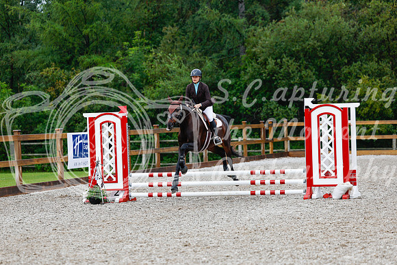 2025 - Haylee - Picco Horse Show - Sunday July 27th 00889