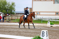 2025 - Dressage Festival - Sunday July 6th - 11698