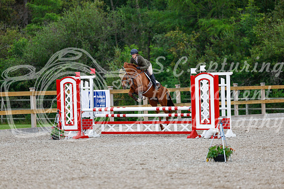 2025 - Haylee - Picco Horse Show - Sunday July 27th 03639