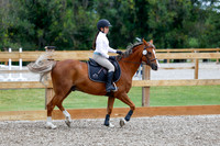 2025 - Haylee - Picco Horse Show - Friay July 25th 01305