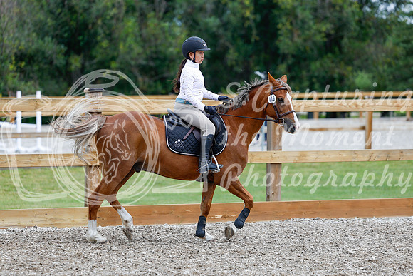 2025 - Haylee - Picco Horse Show - Friay July 25th 01305