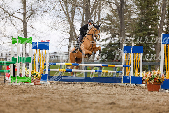 2025 - Shea - Bow Valley II - Thursday May 15th - 03847