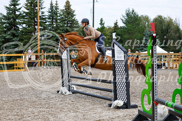 2025 - Haylee - Picco Horse Show - Saturday July 26th 01606