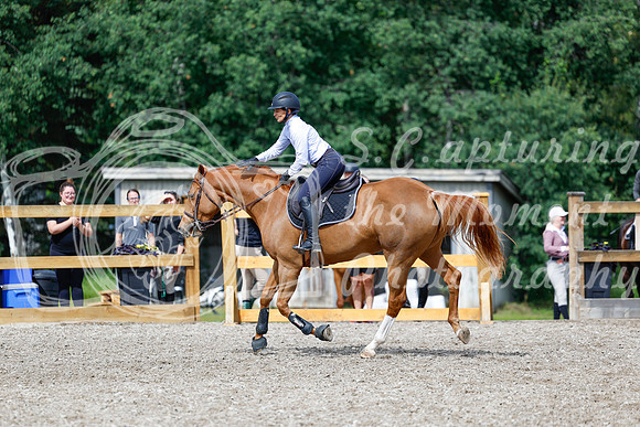 2025 - Haylee - Picco Horse Show - Thursday July 24th 01855