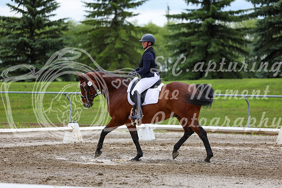 2025 - Dressage Festival - Sunday July 6th - 11808