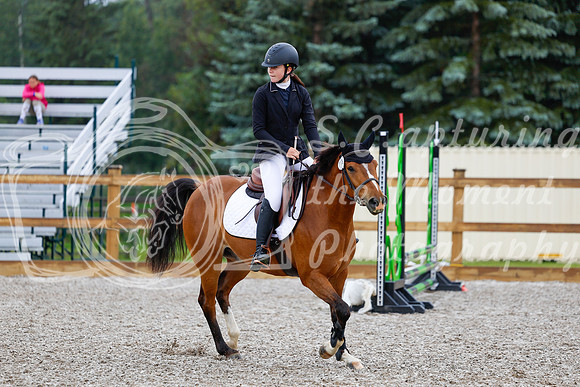 2025 - Haylee - Picco Horse Show - Sunday July 27th 00500