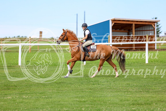 2025 - Shea - Teesdale - Thursday July 24th - 04256