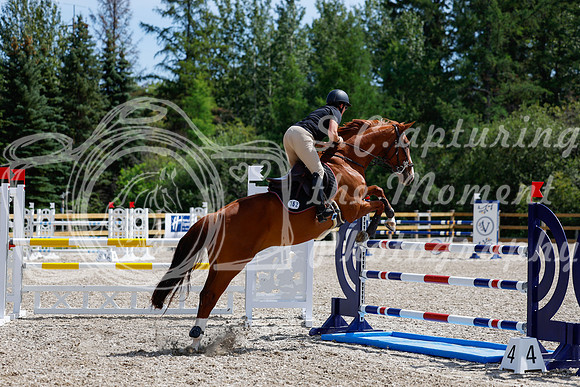2025 - Haylee - Picco Horse Show - Thursday July 24th 04244