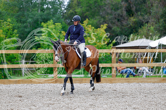 2025 - Haylee - Picco Horse Show - Saturday July 26th 05440