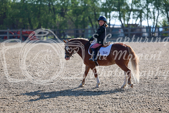 2025 - Dressage Festival - Saturday July 5th - 00029