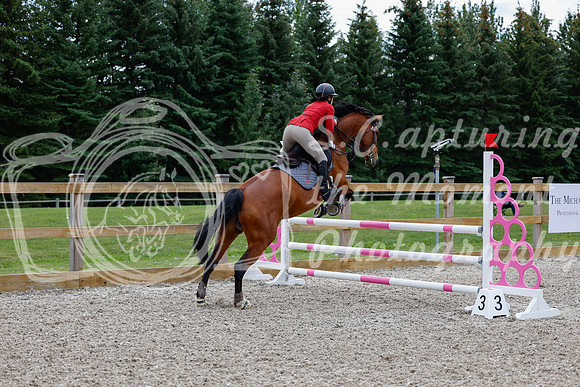 2025 - Haylee - Picco Horse Show - Thursday July 24th 02947