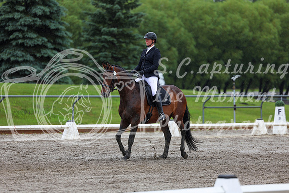 2025 - Dressage Festival - Sunday July 6th - 09041