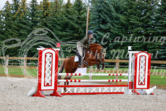 2025 - Haylee - Picco Horse Show - Saturday July 26th 06090