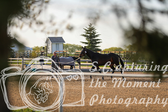 MonCandids_0003