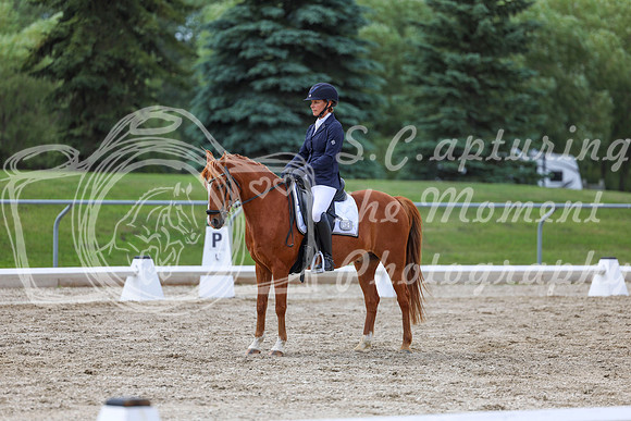 2025 - Dressage Festival - Saturday July 5th - 13759