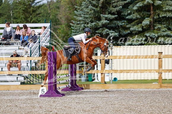 2025 - Haylee - Picco Horse Show - Friay July 25th 00910