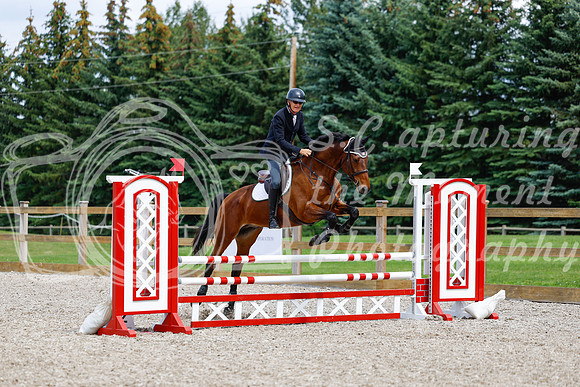 2025 - Haylee - Picco Horse Show - Saturday July 26th 06018