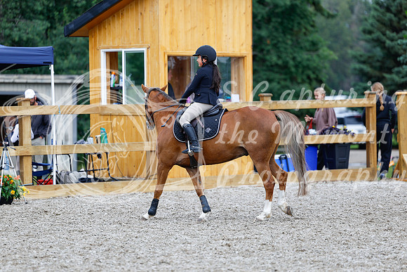 2025 - Haylee - Picco Horse Show - Saturday July 26th 02399