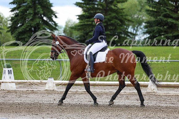 2025 - Dressage Festival - Sunday July 6th - 11801