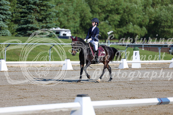 2025 - Dressage Festival - Saturday July 5th - 00661