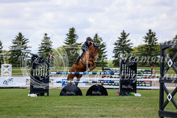 2025 - Haylee - Blue Sky Classic - Sunday, May 18th 34318