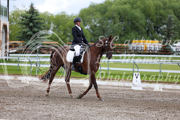 2025 - Dressage Festival - Sunday July 6th - 09582