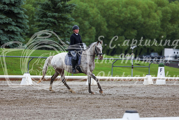 2025 - Dressage Festival - Sunday July 6th - 02299