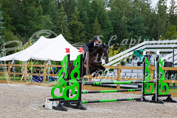 2025 - Haylee - Picco Horse Show - Sunday July 27th 03528