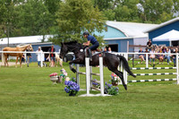 2025 - Shea - Teesdale - Friday July 25th - 07335