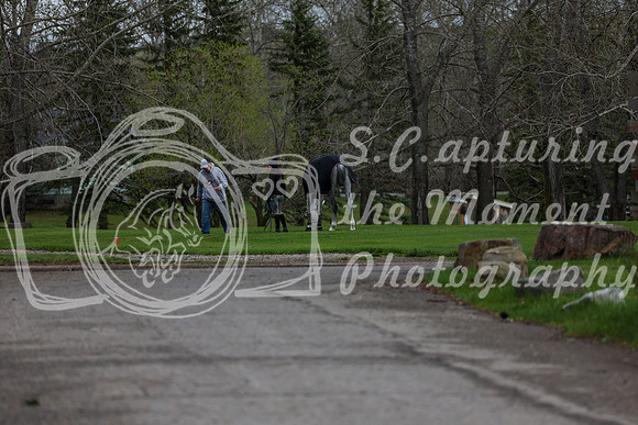 2025 - Shea - Bow Valley II - Thursday May 15th - 00001