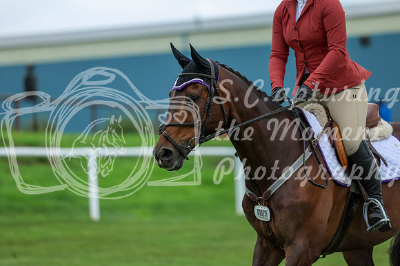 2025 - Shea - Teesdale - Saturday July 26th - 02446