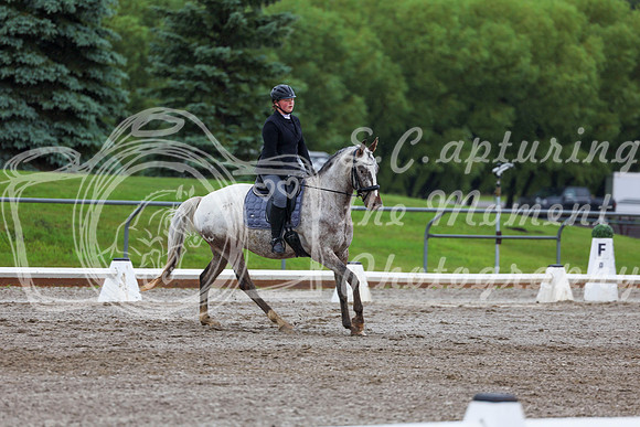 2025 - Dressage Festival - Sunday July 6th - 02298