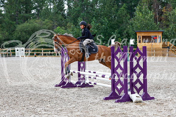 2025 - Haylee - Picco Horse Show - Saturday July 26th 02329