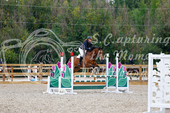 2025 - Haylee - Picco Horse Show - Saturday July 26th 05519