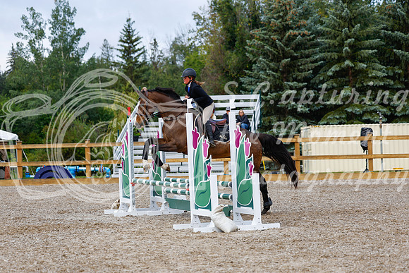 2025 - Haylee - Picco Horse Show - Sunday July 27th 02301